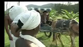 Ka rite ki Negras da senzala