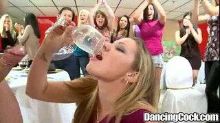 Dancingcock Madh Karin Festë